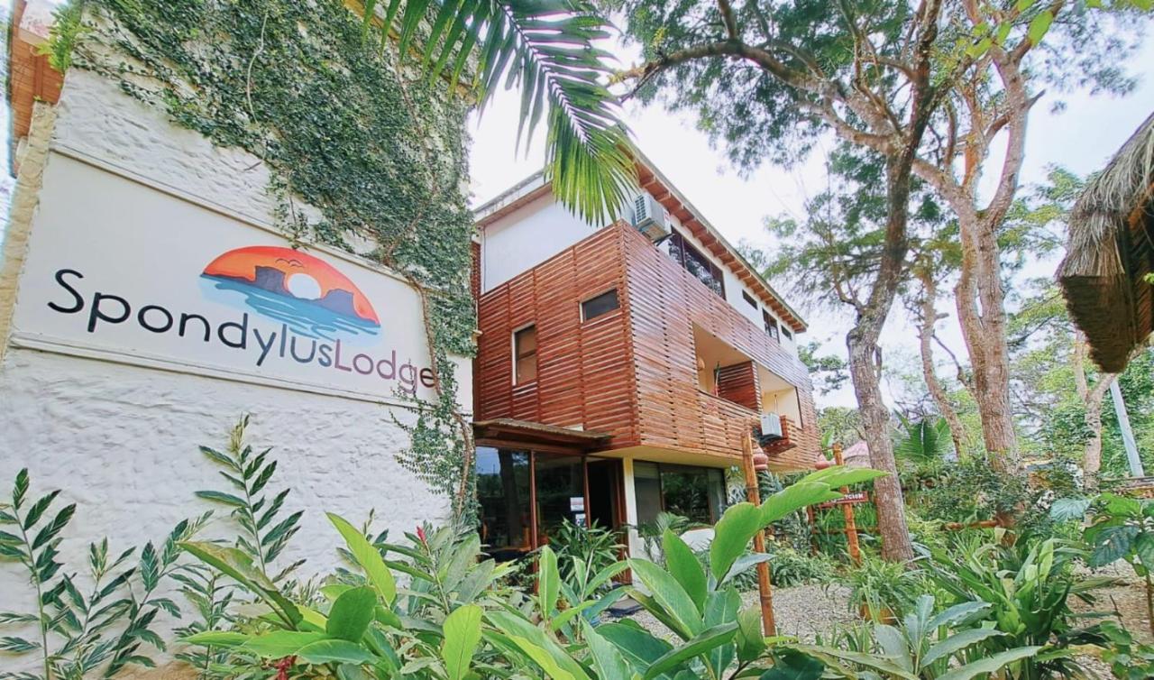 Spondylus Lodge Ayampe Exterior photo