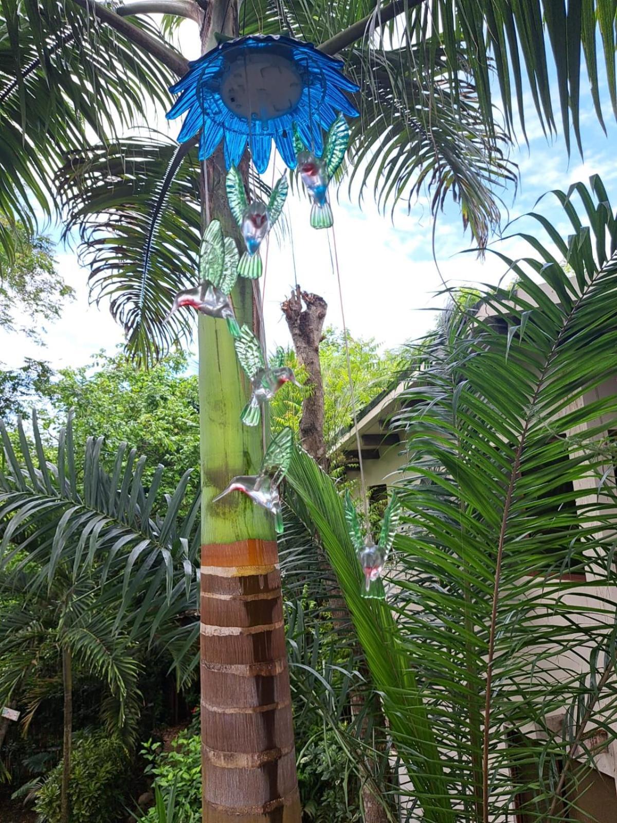 Spondylus Lodge Ayampe Exterior photo