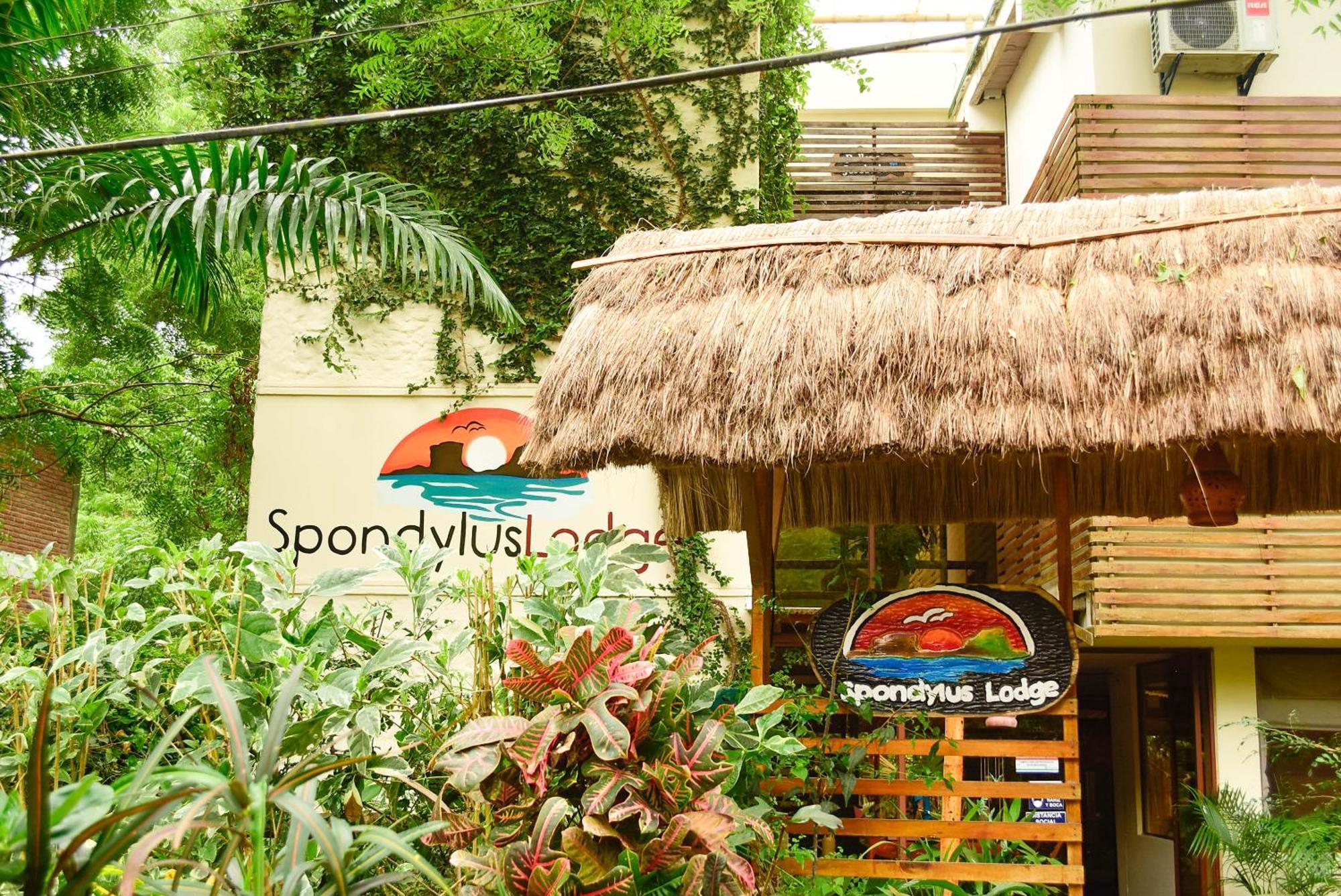 Spondylus Lodge Ayampe Exterior photo