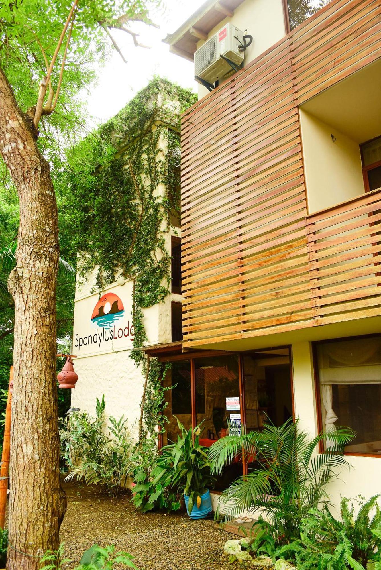 Spondylus Lodge Ayampe Exterior photo